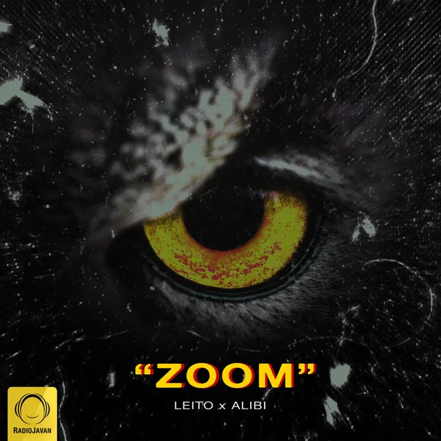 Zoom