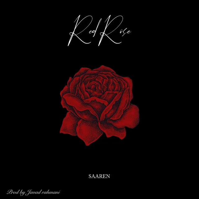 Red Rose